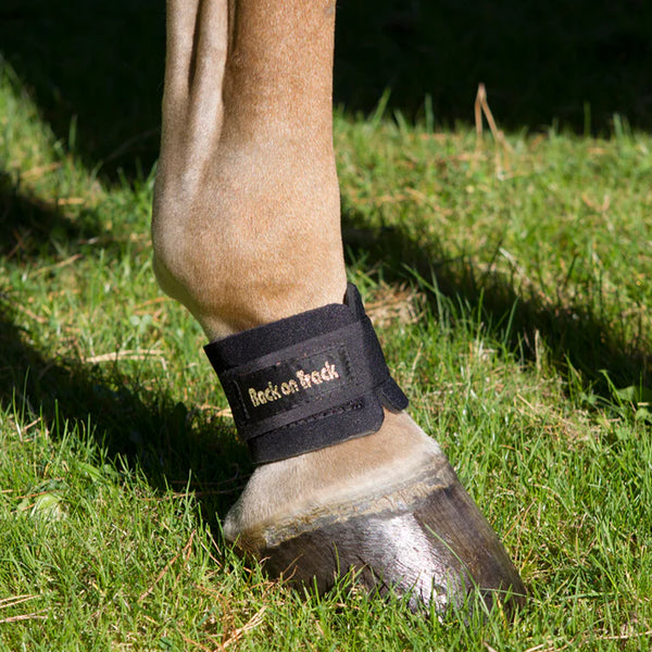 Back On Track Ceramic Pastern Wrap